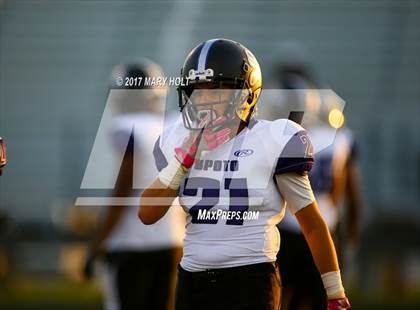 Thumbnail 3 in Spoto vs. Robinson photogallery.