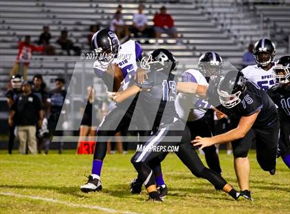 Thumbnail 3 in Spoto vs. Robinson photogallery.