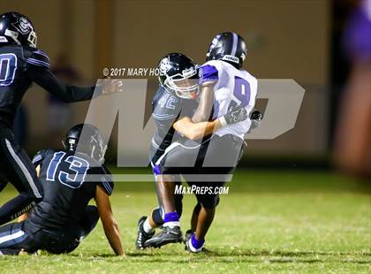 Thumbnail 2 in Spoto vs. Robinson photogallery.