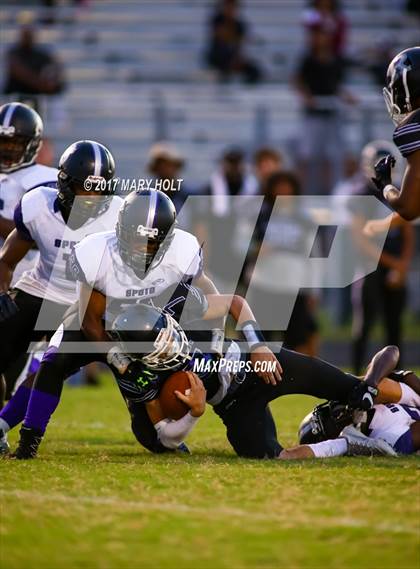 Thumbnail 3 in Spoto vs. Robinson photogallery.