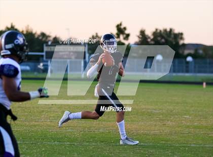 Thumbnail 2 in Spoto vs. Robinson photogallery.