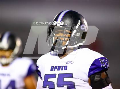 Thumbnail 3 in Spoto vs. Robinson photogallery.