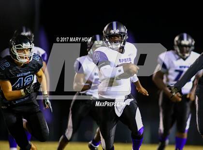 Thumbnail 1 in Spoto vs. Robinson photogallery.