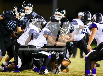 Thumbnail 1 in Spoto vs. Robinson photogallery.