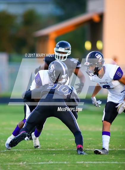 Thumbnail 1 in Spoto vs. Robinson photogallery.