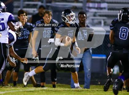 Thumbnail 1 in Spoto vs. Robinson photogallery.