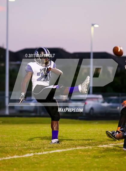Thumbnail 3 in Spoto vs. Robinson photogallery.