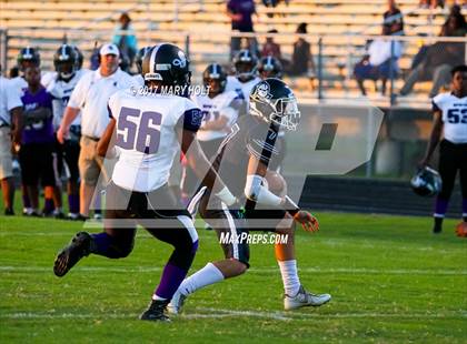 Thumbnail 3 in Spoto vs. Robinson photogallery.