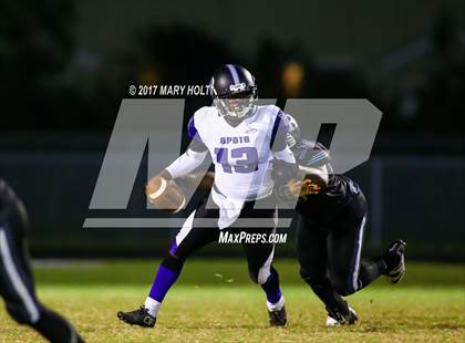 Thumbnail 1 in Spoto vs. Robinson photogallery.