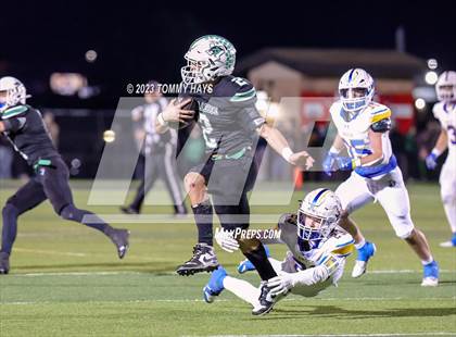 Thumbnail 2 in Paradise vs. Brock (UIL Class 3A D1 Region Final) photogallery.