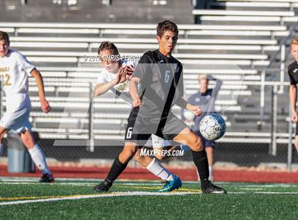 Thumbnail 3 in Lewis-Palmer vs Palmer Ridge photogallery.