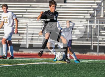 Thumbnail 1 in Lewis-Palmer vs Palmer Ridge photogallery.