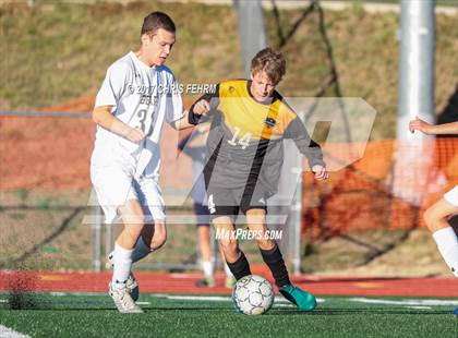 Thumbnail 3 in Lewis-Palmer vs Palmer Ridge photogallery.
