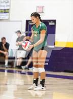 Photo from the gallery "Sonora @ Bret Harte"