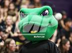 Photo from the gallery "Sonora @ Bret Harte"