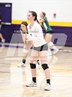 Photo from the gallery "Sonora @ Bret Harte"