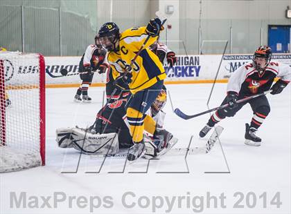 Thumbnail 3 in Jackson @ DeWitt photogallery.