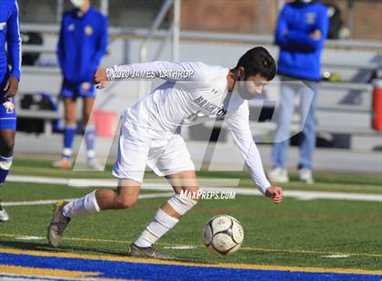 Thumbnail 1 in Brighton @ Irondequoit photogallery.