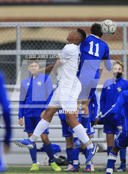 Thumbnail 2 in Brighton @ Irondequoit photogallery.
