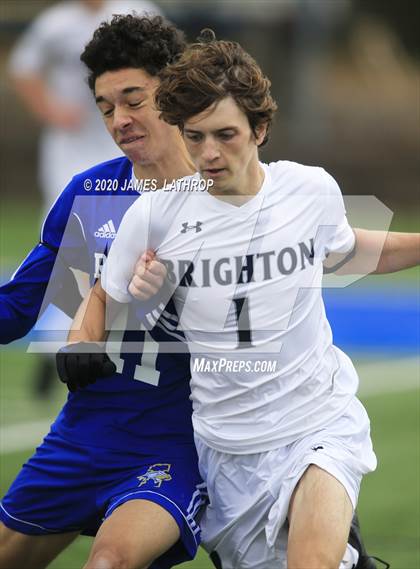 Thumbnail 2 in Brighton @ Irondequoit photogallery.