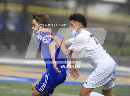Thumbnail 3 in Brighton @ Irondequoit photogallery.