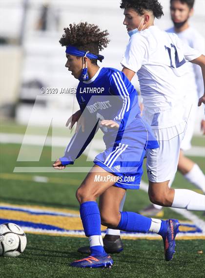Thumbnail 2 in Brighton @ Irondequoit photogallery.