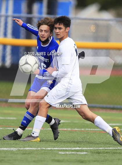 Thumbnail 3 in Brighton @ Irondequoit photogallery.