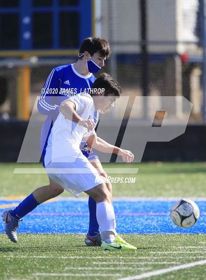 Thumbnail 1 in Brighton @ Irondequoit photogallery.