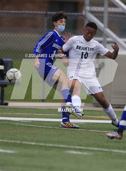 Thumbnail 2 in Brighton @ Irondequoit photogallery.