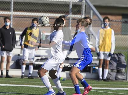 Thumbnail 1 in Brighton @ Irondequoit photogallery.