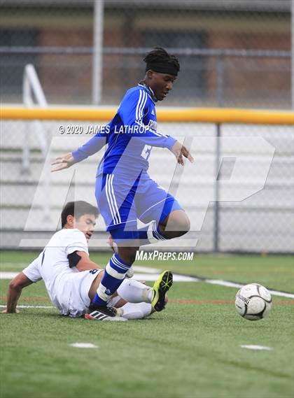 Thumbnail 2 in Brighton @ Irondequoit photogallery.