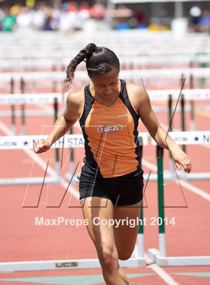Thumbnail 2 in NYSPHSAA Track and Field Championships  photogallery.