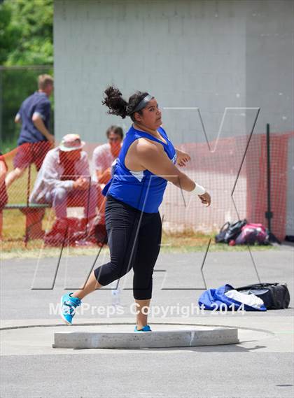 Thumbnail 3 in NYSPHSAA Track and Field Championships  photogallery.
