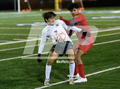Thumbnail 2 in Lee [Robert E.] vs Reagan [Ronald] photogallery.