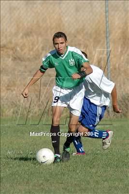 null - Photo 21