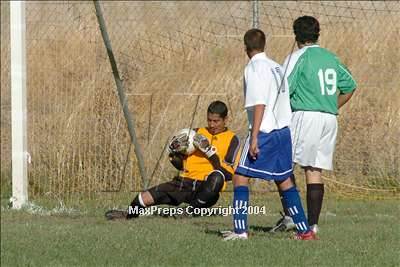 null - Photo 11
