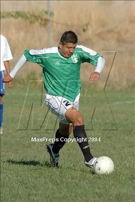 null - Photo 11