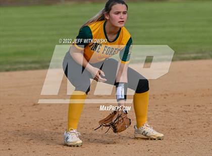 Thumbnail 1 in Pine Forest vs Terry Sanford  photogallery.