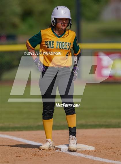 Thumbnail 1 in Pine Forest vs Terry Sanford  photogallery.