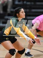 Photo from the gallery "Cabrini @ St. Mary's Dominican"