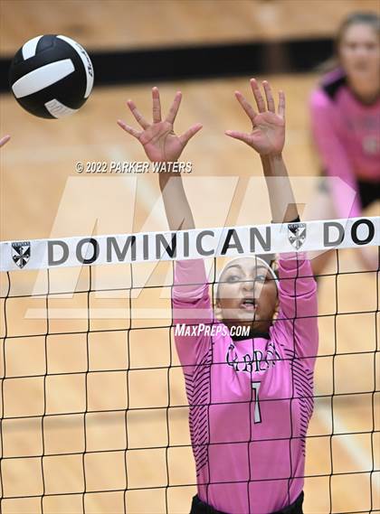 Thumbnail 2 in Cabrini @ St. Mary's Dominican photogallery.