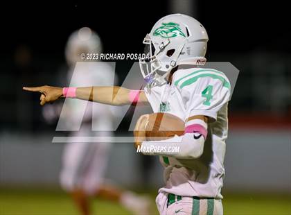 Thumbnail 1 in Riverdale @ Fowler photogallery.