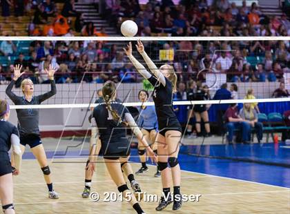 Thumbnail 3 in Platte Valley vs. Pagosa Springs (CHSAA 3A Playoff) photogallery.