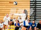 Photo from the gallery "Columbia City @ Homestead"
