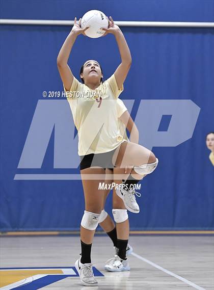 Thumbnail 2 in Woodrow Wilson vs. Woodbridge (Dave Mohs Classic) photogallery.