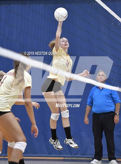 Thumbnail 1 in Woodrow Wilson vs. Woodbridge (Dave Mohs Classic) photogallery.