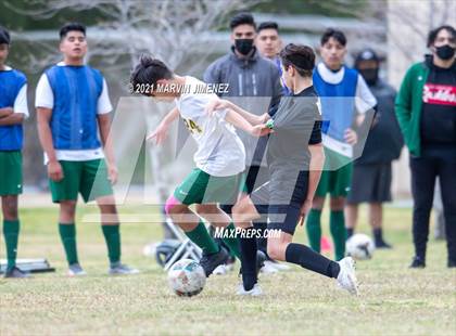 Thumbnail 1 in Royal vs. Moorpark  photogallery.