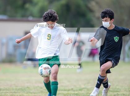 Thumbnail 3 in Royal vs. Moorpark  photogallery.