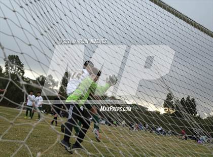 Thumbnail 1 in Royal vs. Moorpark  photogallery.