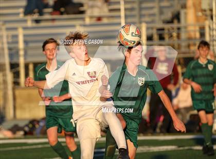 Thumbnail 2 in Whitney @ Ponderosa photogallery.